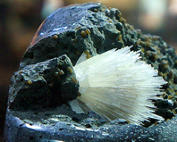 Tên sản phẩm